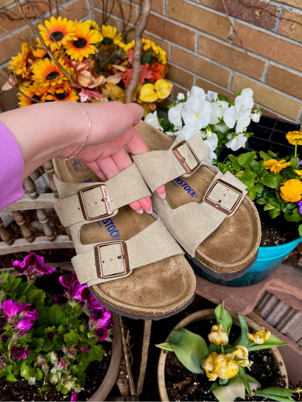 Birkenstock Arizona Women - Taupe